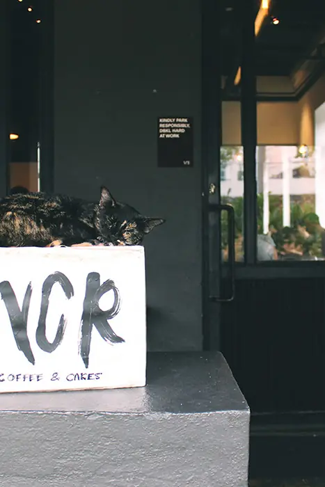 The VCR sign outside the house on Jalan Galloway